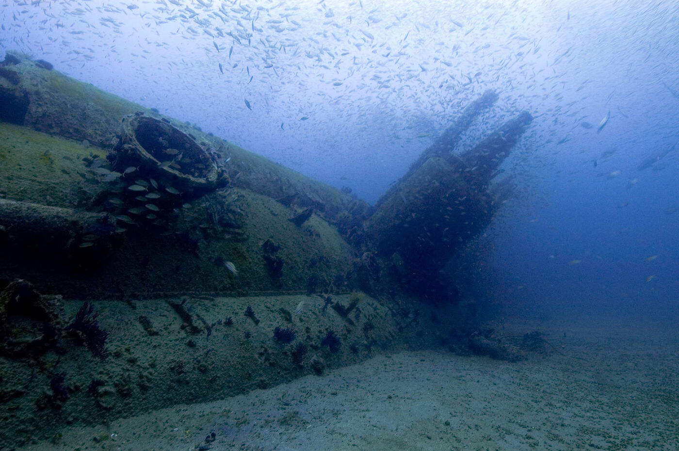 Underwater photograph of U-352’s conning tower and surrounding fish